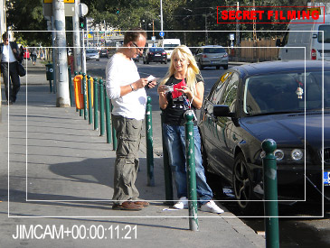 Walking the Streets for Pussy