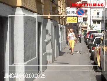 Searching for Fresh Meat